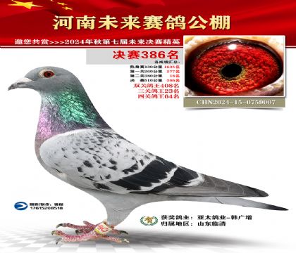 河南未来决赛386名