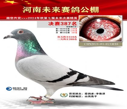 河南未来决赛387名