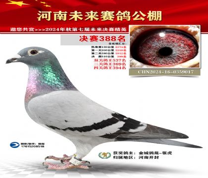 河南未来决赛388名