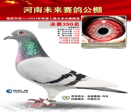 河南未来决赛390名