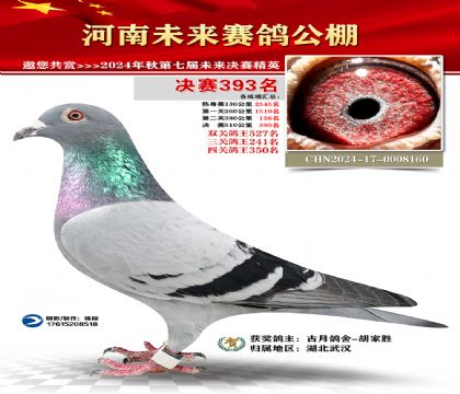 河南未来决赛393名