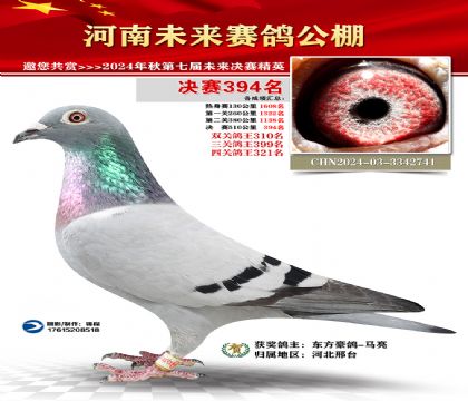 河南未来决赛394名