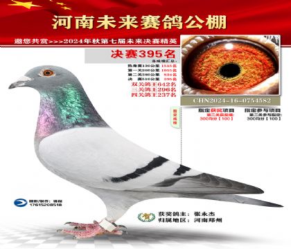 河南未来决赛395名