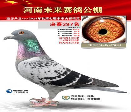 河南未来决赛397名