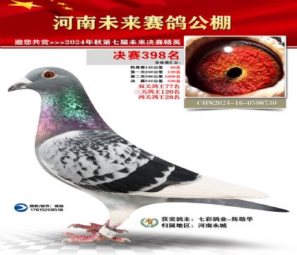 河南未来决赛398名