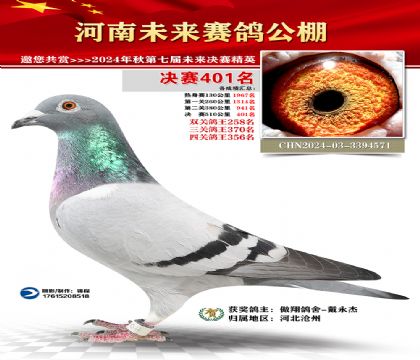 河南未来决赛401名