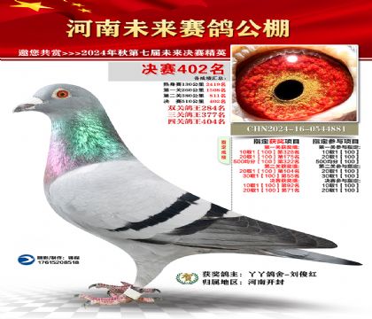 河南未来决赛402名