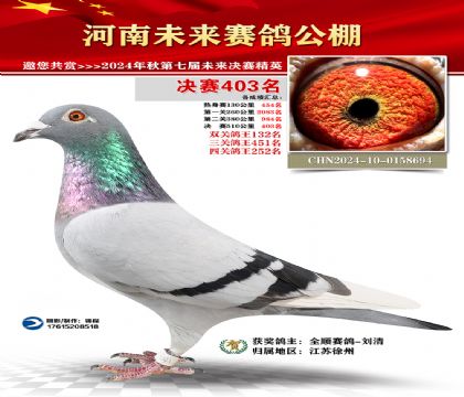 河南未来决赛403名