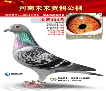 河南未来决赛404名