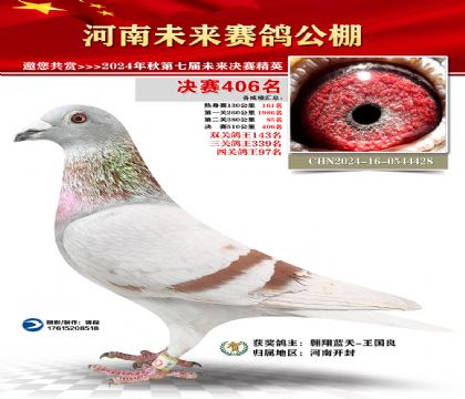 河南未来决赛406名
