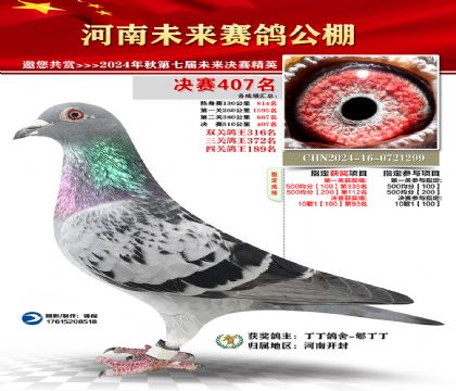 河南未来决赛407名