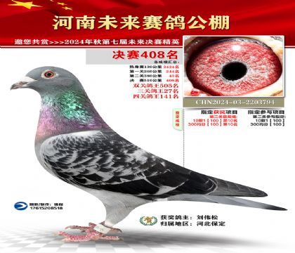 河南未来决赛408名