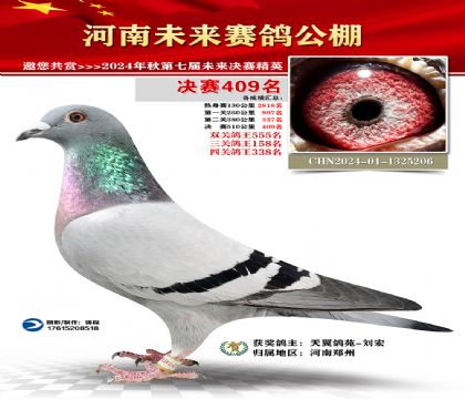 河南未来决赛409名