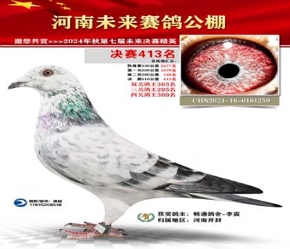 河南未来决赛413名
