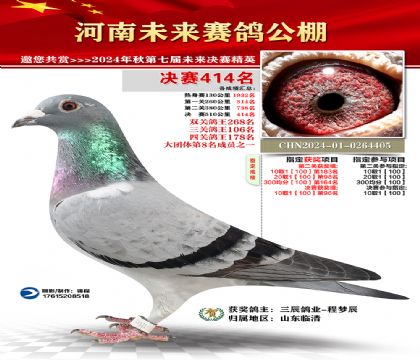 河南未来决赛414名