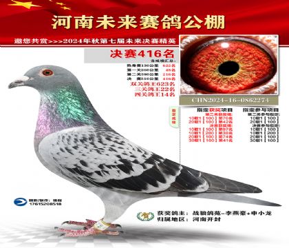 河南未来决赛416名