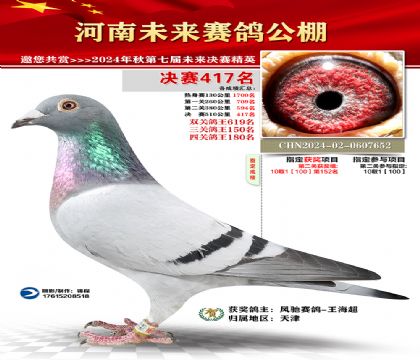 河南未来决赛417名