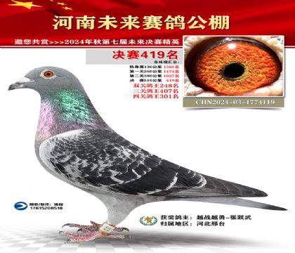 河南未来决赛419名