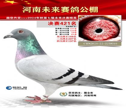 河南未来决赛421名