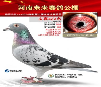 河南未来决赛423名