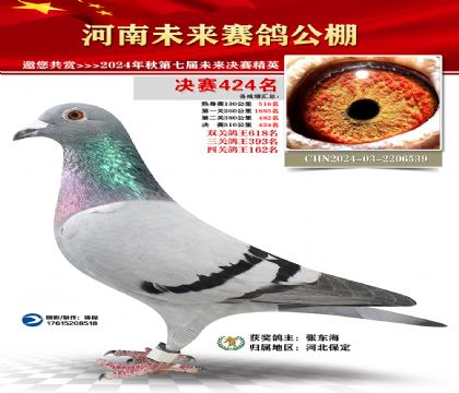 河南未来决赛424名