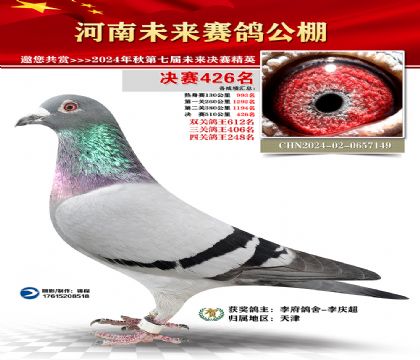 河南未来决赛426名