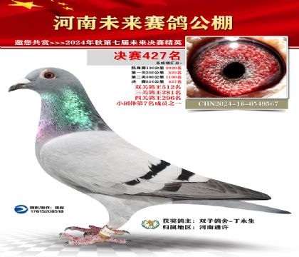 河南未来决赛427名