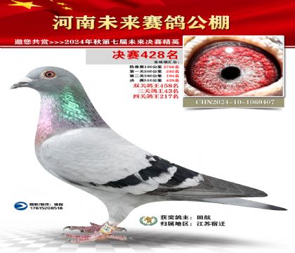 河南未来决赛428名