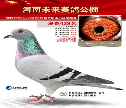 河南未来决赛429名