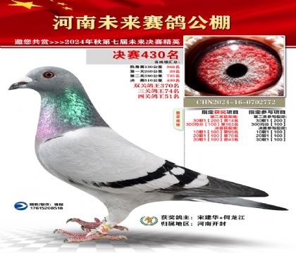 河南未来决赛430名