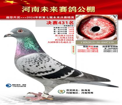 河南未来决赛431名