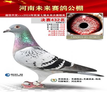 河南未来决赛432名
