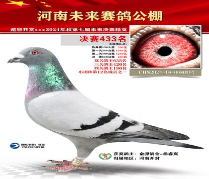 河南未来决赛433名