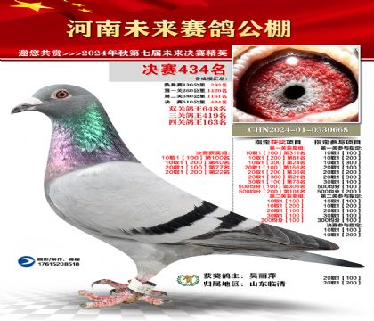 河南未来决赛434名