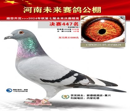 河南未来决赛447名