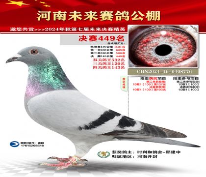 河南未来决赛449名