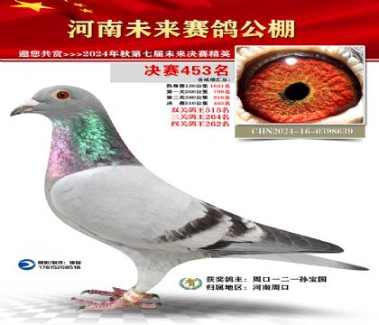 河南未来决赛453名