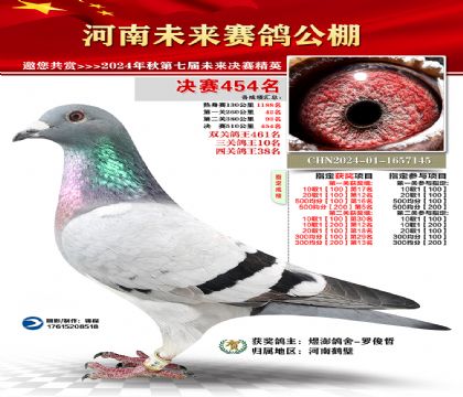 河南未来决赛454名