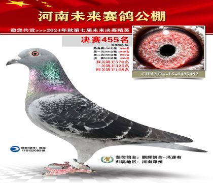 河南未来决赛455名