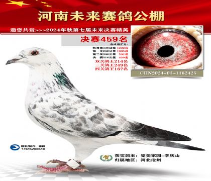 河南未来决赛459名
