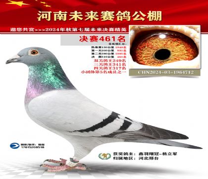河南未来决赛461名