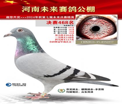 河南未来决赛468名