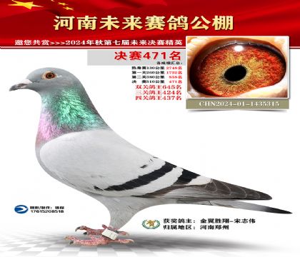 河南未来决赛471名