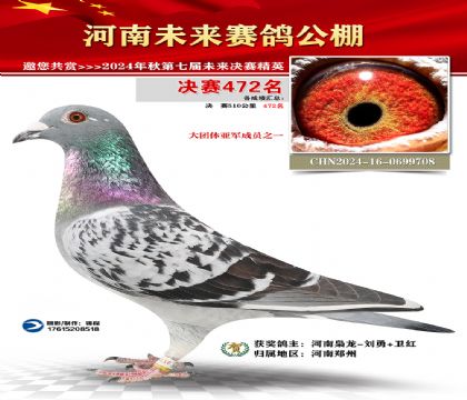 河南未来决赛472名