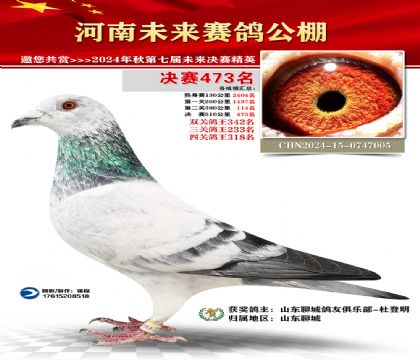 河南未来决赛473名