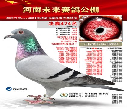 河南未来决赛474名