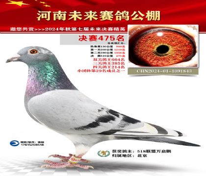 河南未来决赛475名