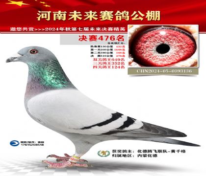 河南未来决赛476名