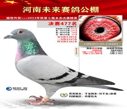 河南未来决赛477名