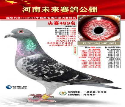 河南未来决赛489名